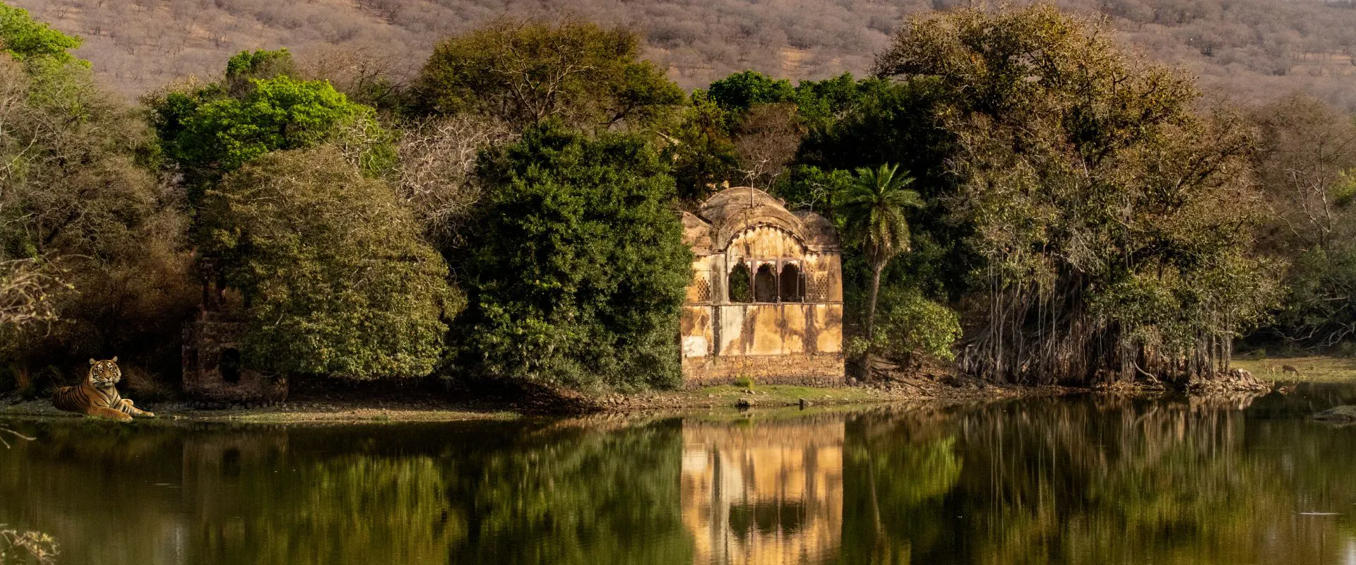 Ranthambore